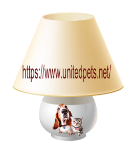 a table lamp